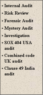 Text Box: Internal AuditRisk ReviewForensic AuditMystery AuditInvestigationSOX 404 USA auditCombined code UK auditClause 49 India audit